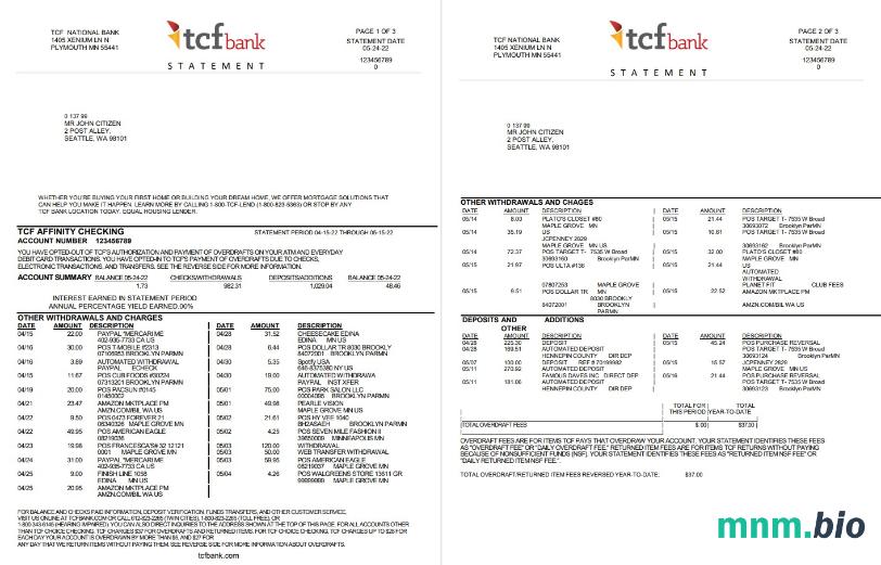 Szablon wyciągu bankowego USA TCF Bank w formacie Word i PDF